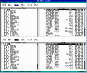 MS-DOS 5.0