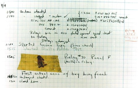 COMPUTER BUG